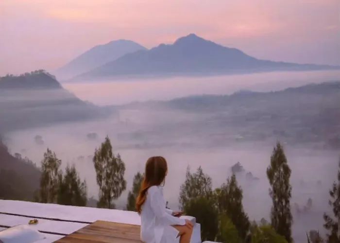 Highland Bali * Baturaja (Bali)